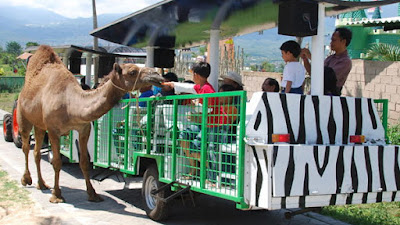 BERLIBUR BERSAMA KELUARGA DI WISATA JATIM  PARK 2 YANG KEREN