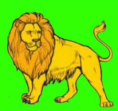 Essay on Lion in Punjabi