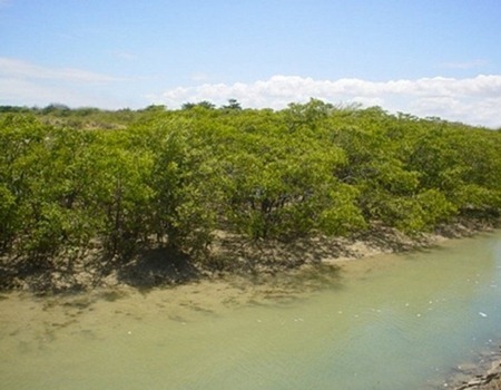 Área de Proteção Ambiental das Reentrâncias Maranhenses - Cururupu, Maranhao