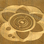 gambar crop circle, foto crop circle, alien, ufo, lingkaran tanaman, www.digaleri.com