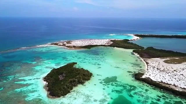 La Tortuga: El proyecto de intervención turística del régimen que amenaza con daños irreversibles al ecosistema de la isla