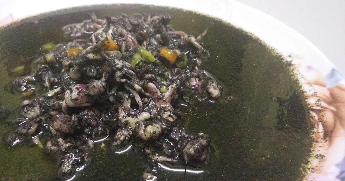 Resepi Sotong Hitam Simple - Surakarta E