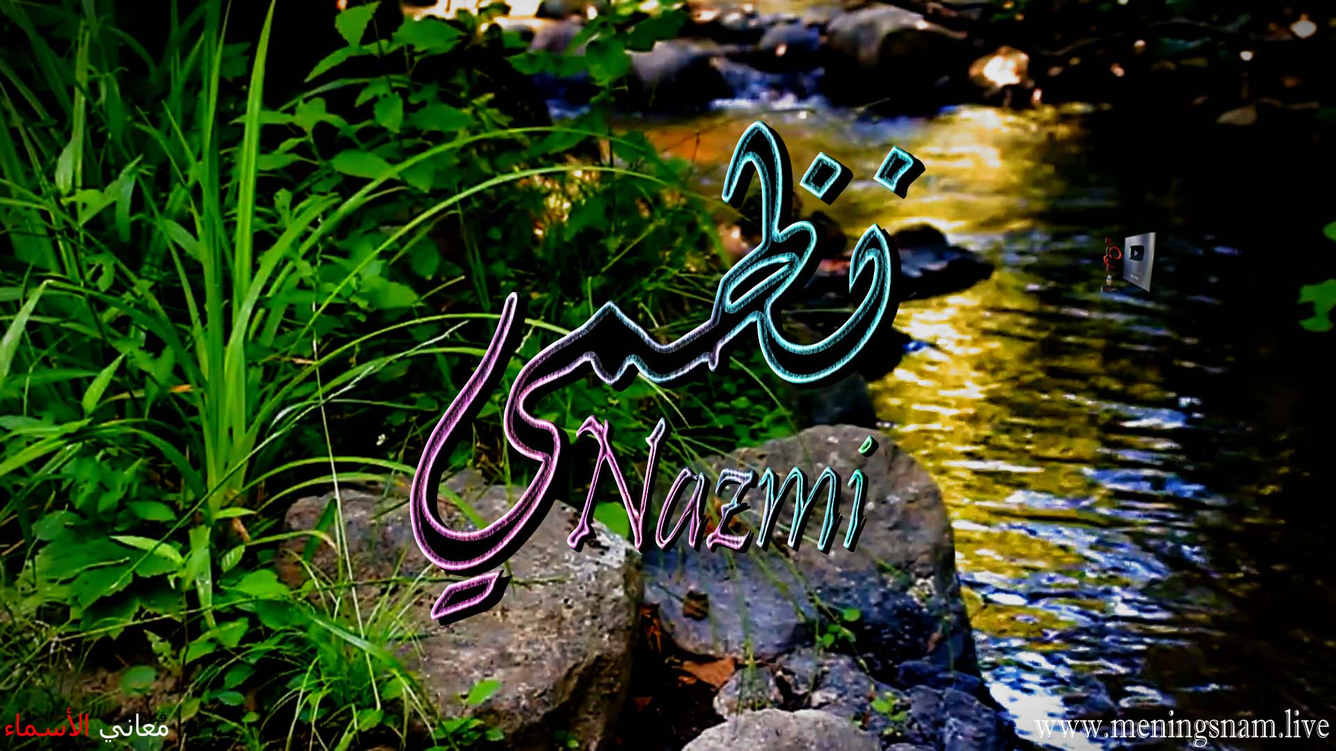 معنى اسم, نظمي, وصفات, حامل, هذا الاسم, Nazmi,