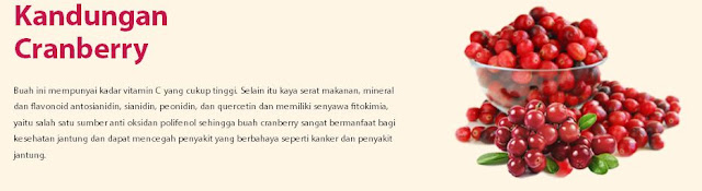 tips bebas anyang-anyangan pada ibu bekerja, Prive Uri cran cara terbaik atasi anyang-anyangan, Infeksi saluran kemih pada ibu bekerja