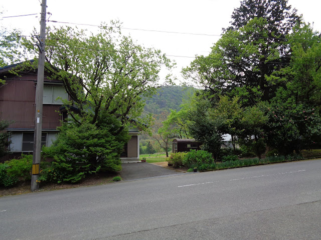 大山環状道路