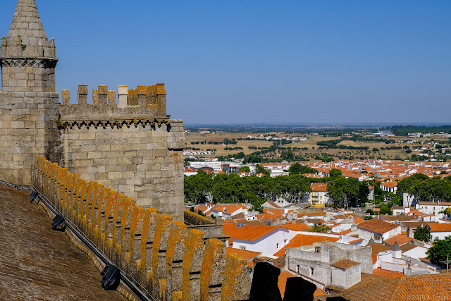 屋上, エヴォラ大聖堂, エヴォラ, ポルトガル, Cathedral of Évora, Évora, Portugal