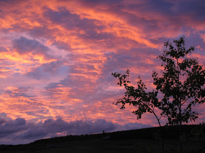 The Evening Sky -- Click to enlarge