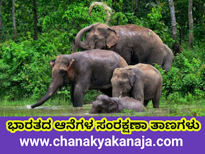 List of Elephant Reserves in India And Projects/ಭಾರತದಲ್ಲಿ ಆನೆಗಳ ಮೀಸಲು ಪಟ್ಟಿ ಮತ್ತು ಯೋಜನೆಗಳು