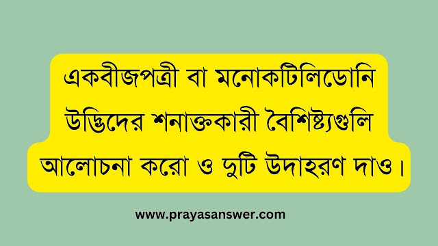 একবীজপত্রী বা মনোকটিলিডোনি উদ্ভিদের শনাক্তকারী বৈশিষ্ট্যগুলি আলোচনা করো ও দুটি উদাহরণ দাও