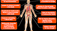 Fruits And Vegetables And Their Benefits