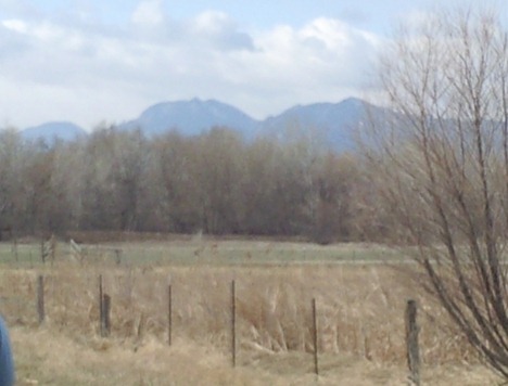 Photo0438