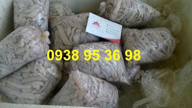 Sỉ lẻ sá sùng, trùn biển giá tốt 0938 95 36 98.  Mua bán sá sùng tươi ngon giá rẻ tại Sài Gòn, trùn biển tươi giá tốt, giá bán sá sùng rẻ nhất tại hải sản Hoài Nhơn, mua sá sùng tươi ngon giá rẻ tại đây, trùn biển tươi sạch cát giá rẻ, cung cấp sỉ lẻ sá sùng tươi làm sạch, sá sùng tươi rẻ, trùn biển ngon làm sạch.  Các món ngon từ sá sùng, trùn biển: cháo sá sùng - trùn biển, sá sùng - trùn biển nướng, trùn biển - sá sùng nấu lẩu, sá sùng - trùn biển xào các món, canh sá sùng - trùn biển, súp trùn biển - sá sùng,...  Hoài Nhơn 0938 95 36 98