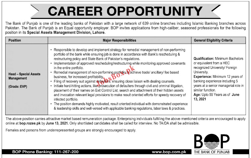 Latest Jobs in  The Bank of Punjab BOP 2021