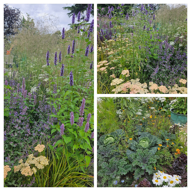 Collage of the Carol Klein garden, blue and purple flowers