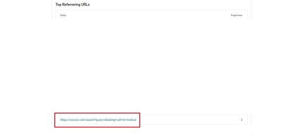 Screenshot showing visitors referred by Coc Coc