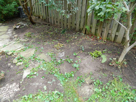 Fall Cleanup After in Riverdale Toronto by Paul Jung Gardening Services--a Toronto Organic Gardener