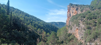 El Parque Natural de la Tenencia de Benifasar o Parc Natural de la Tinença de Benifassà.