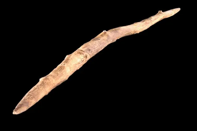 Una vara para arrojar de hace 300 000 años