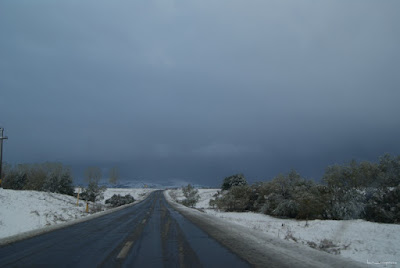 peisaj de iarna Bran Moeciu winter scene