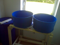 Blue barrel grow bed aquaponics wooden frame; another view of construction phase