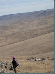 Mongolia (229)