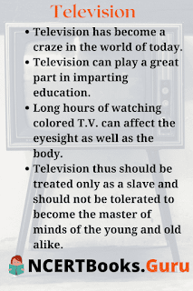 An Essay on Television: The Pros and Cons