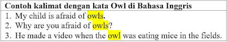 25 contoh kalimat dengan kata owl di bahasa Inggris