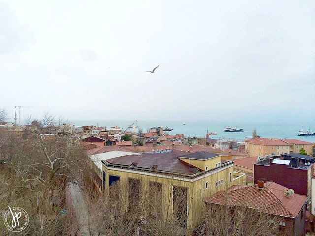 rooftops and sea of marmara