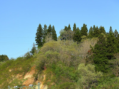 [新しいコレクション] 越後線 撮影地 327881-越後線 撮影地 内野