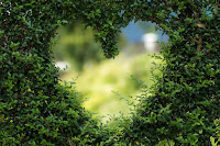 heart cut out of a hedge fence