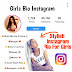 100+ Instagram Attitude Bio Boys & Girls Copy And Paste 2024