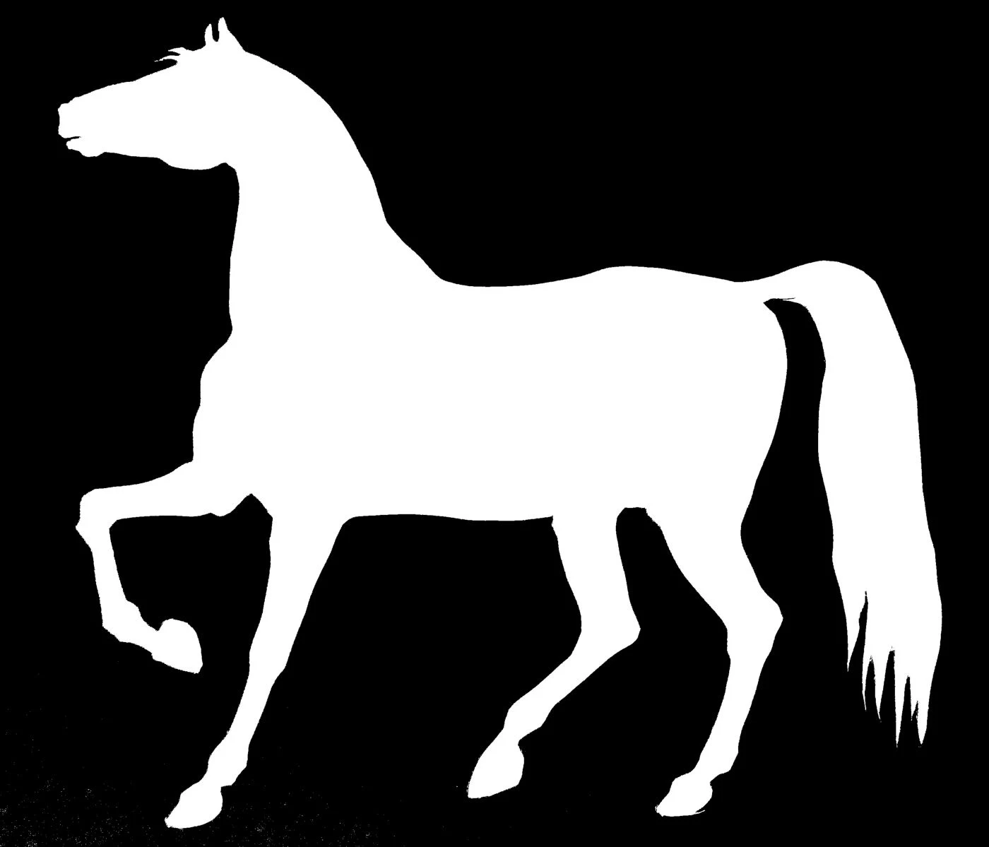 saraccino Horse silhouette / stencil...
