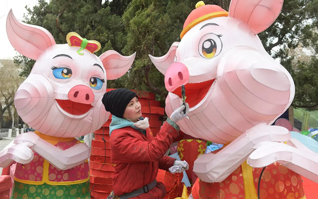 Year-of-the-Pig-Chinese-New-Year-2019-FU-RONG-GEMS