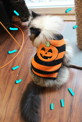 Halloween-cat-costume_03
