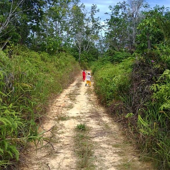 Menjejaki Bukit Tinubau