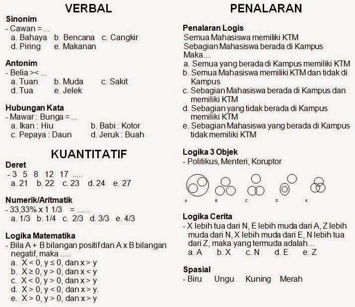 SOAL TPA BAPPENAS PDF 