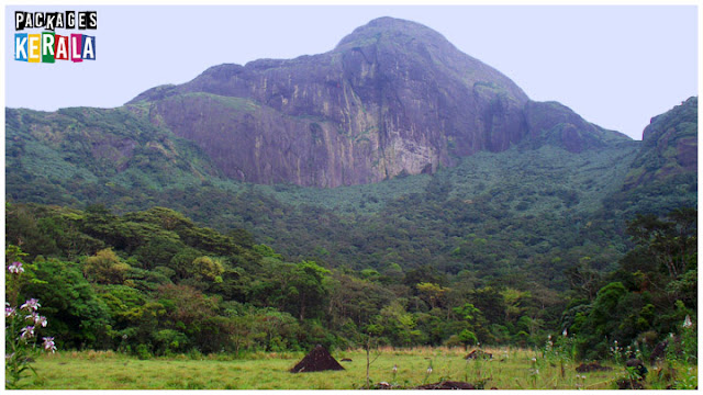 trekking in kerala