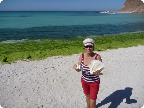 Just S of Puerto Ballena