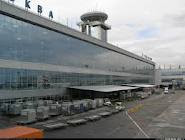 Moscow Domodedovo International Airport  Great Moscow Domodedovo International Airport