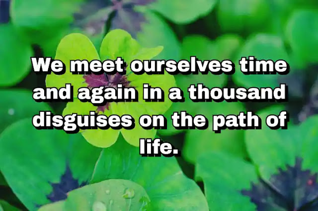 "We meet ourselves time and again in a thousand disguises on the path of life." ~ Carl Jung