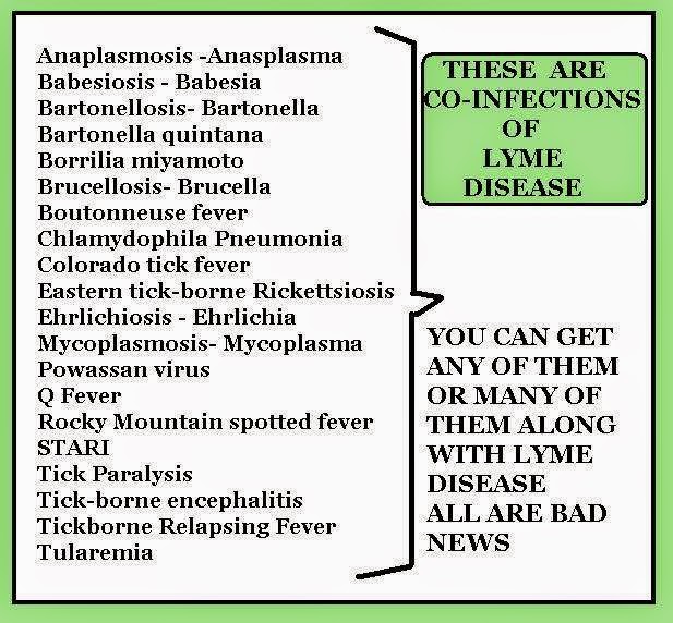 Midcoast Lyme Disease Support and Education: Co-Infections