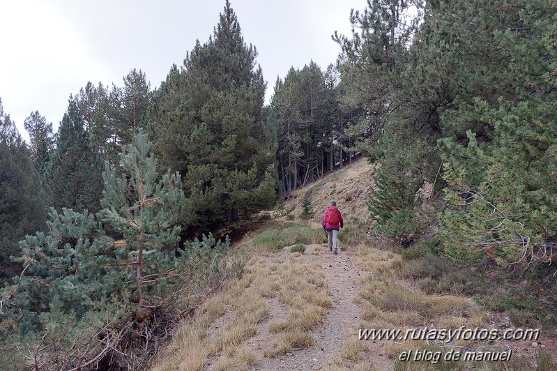 Cerrillo Redondo - Pico Tajo de los Machos desde Puente Palo