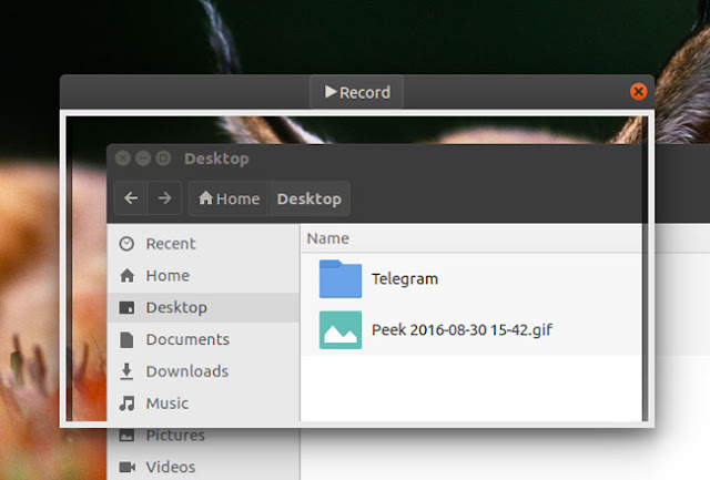 Peek GIF Recorder on Linux