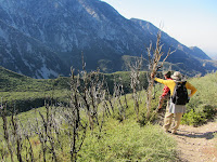 Looking south on Old Mt. Bald Trail above Bear Flat