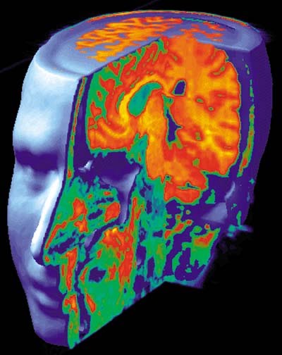 brainworx eklentileri ücretsiz indir