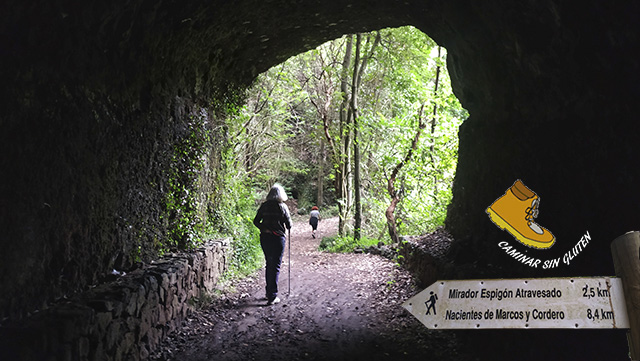 Tunel sendero Mirador Espigón Atravesado - Bosque de los Tilos