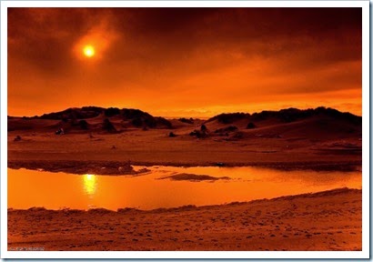 http://www.hamaddarwish.com