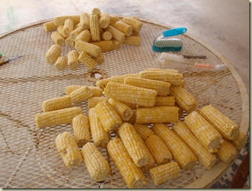 P6020951