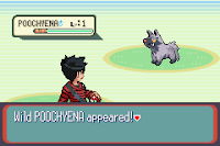 Pokemon Bloodline’s Error Screenshot 03