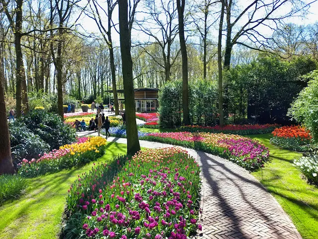 Walking path with beautiful colored flowers on each side of the path